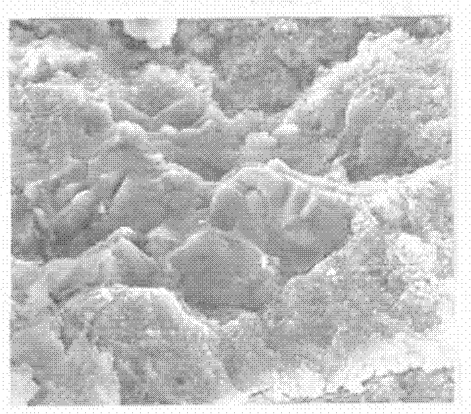 Special silicon-magnesium-polymer cement acoustic panel of road sound barrier and preparation method thereof