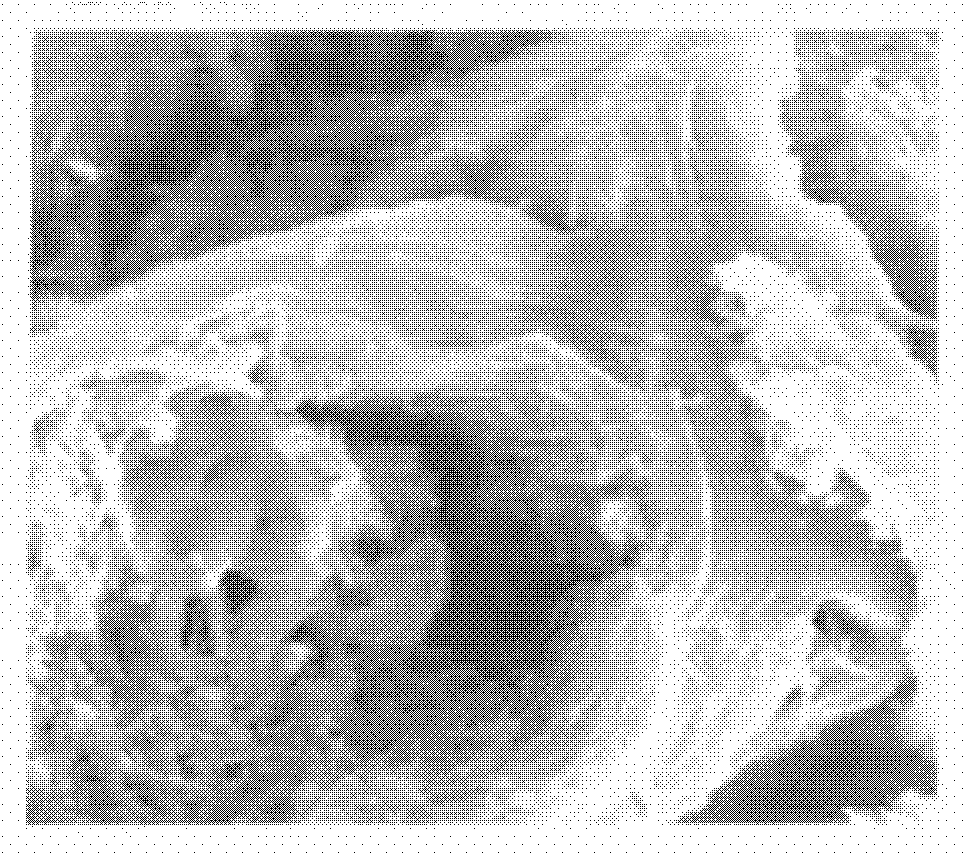 Special silicon-magnesium-polymer cement acoustic panel of road sound barrier and preparation method thereof