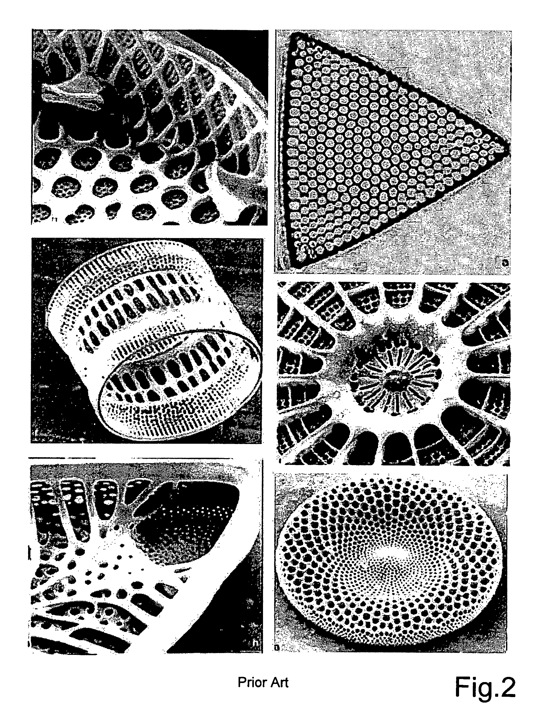 Method of determining structural prototype data for a light weight technical structure