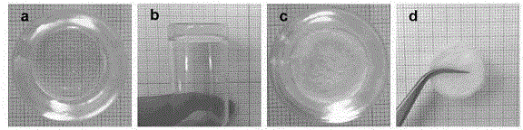 A kind of chitosan gel hemostatic material and preparation method thereof