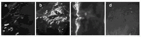 A kind of chitosan gel hemostatic material and preparation method thereof