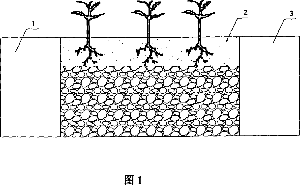 Artificial wetland effluent collector