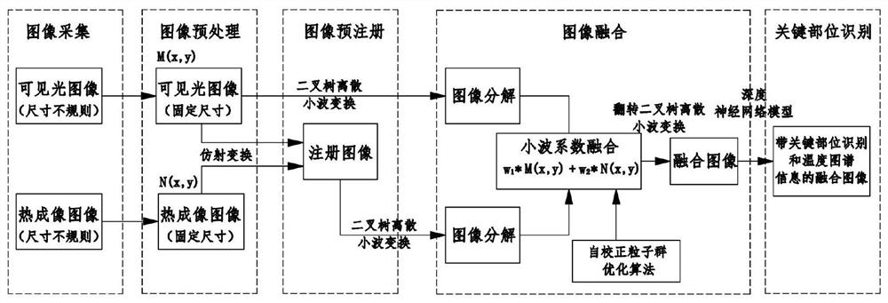 Poultry body temperature detection method based on image fusion and poultry house inspection system