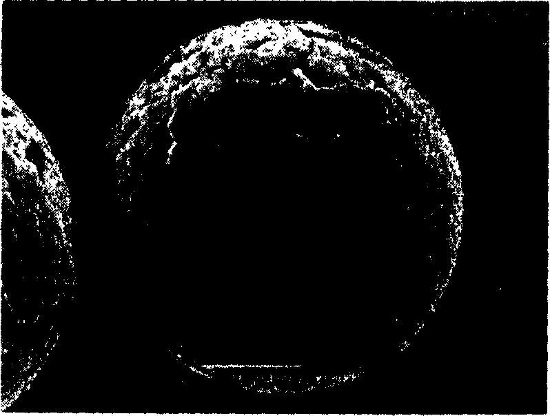 Method for preparing polylactic porous microball