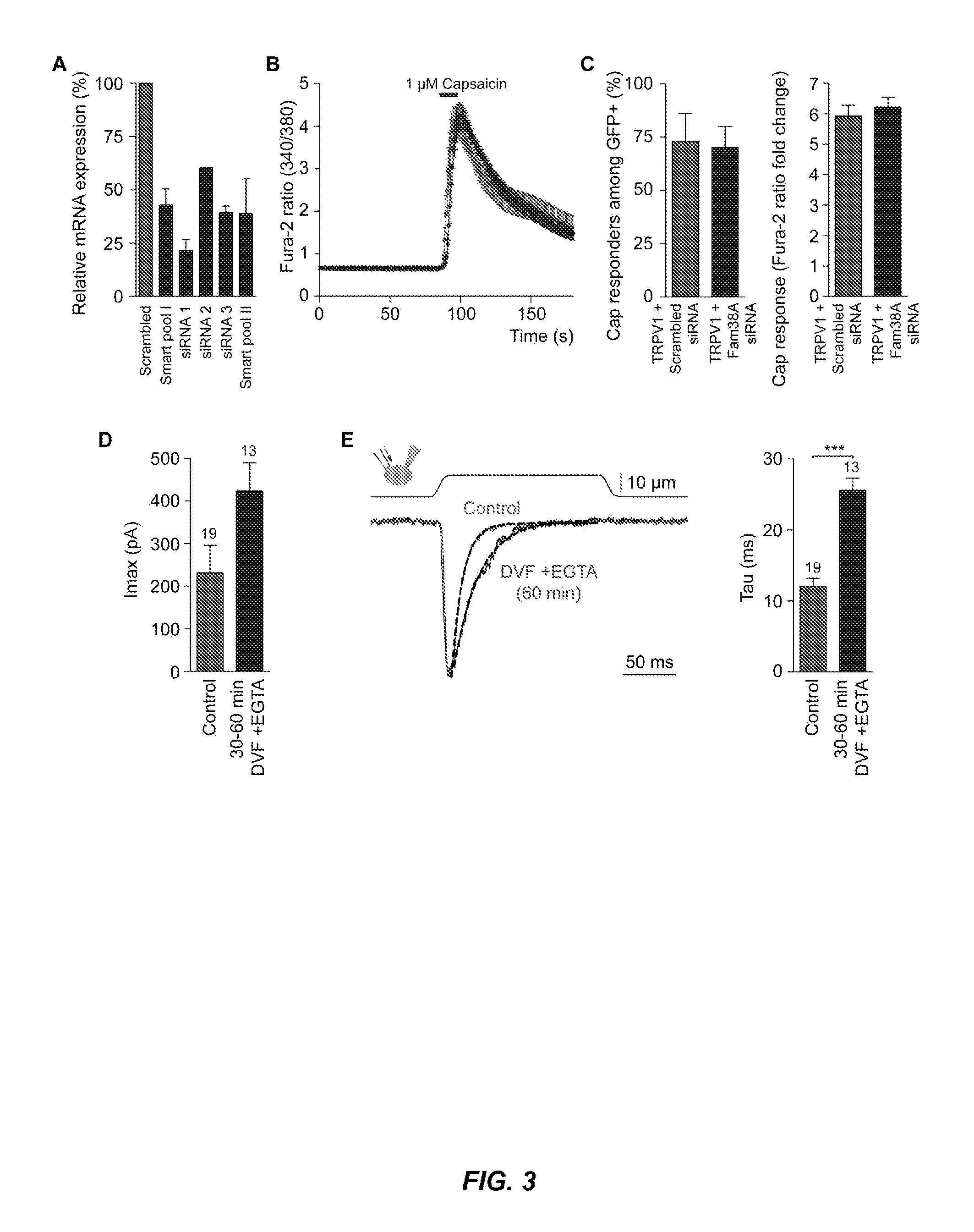 Mechanically-Activated Cation Channels