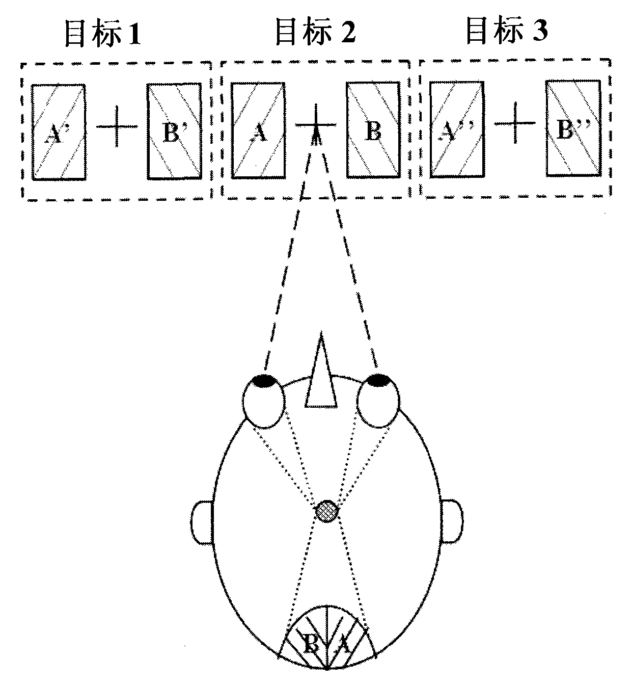 Stable state vision inducting brain-machine interface method based on two frequency stimulation of left and right view field