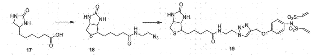 Divinyl sulfamide linker as well as preparation and application thereof