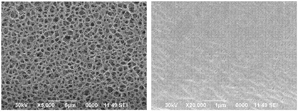 Lithium ion secondary battery containing ion liquid electrolyte