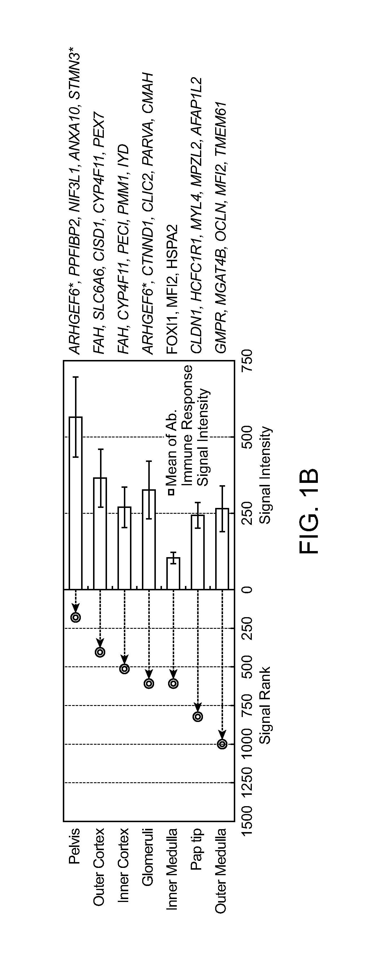 Compartment-Specific Non-HLA Targets for Diagnosis and Prediction of Graft Outcome