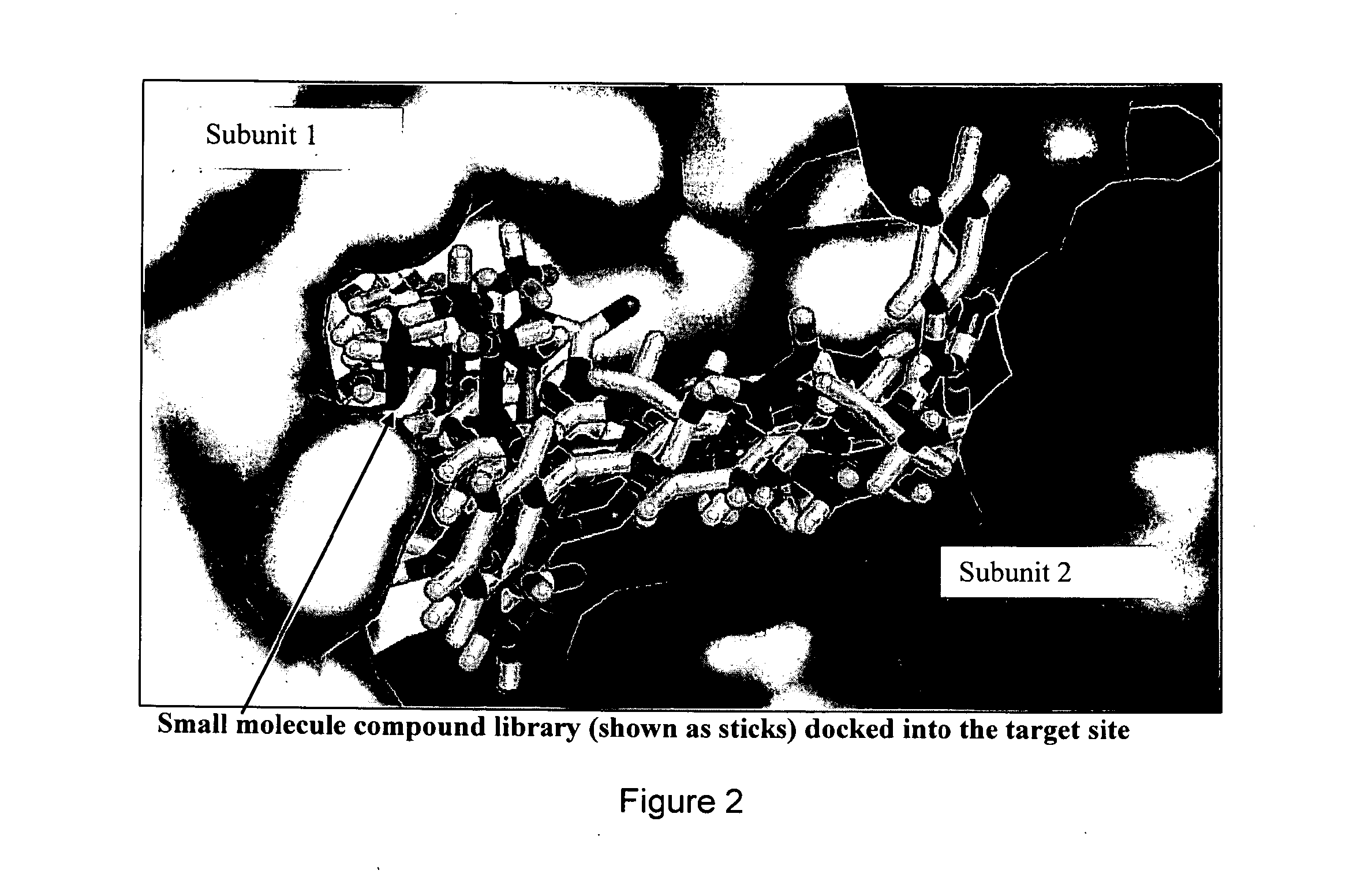 Novel allosteric inhibitors of thymidylate synthase