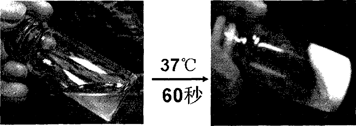 Biodegradable hydrogel with temperature sensitivity and production method and use thereof