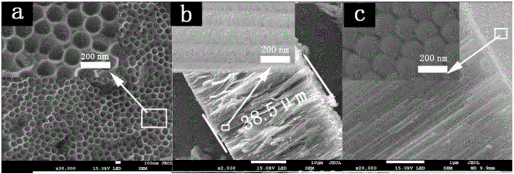 S/Ti&lt;3+&gt; dual-doped TiO2 nanotube array preparation method