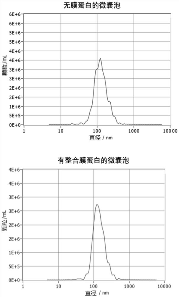 Vesicle, and preparation method and application thereof