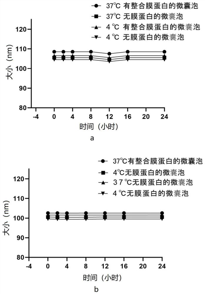 Vesicle, and preparation method and application thereof