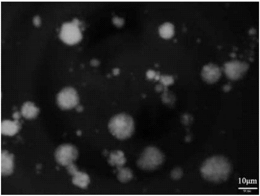 Granulated soybean protein and preparation method thereof