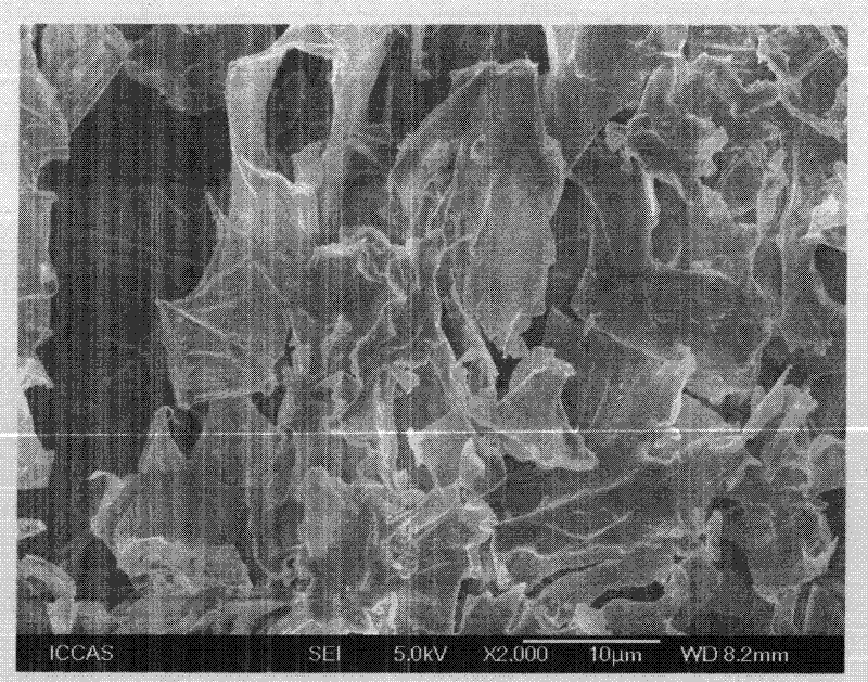 Cellulose base/Fe3O4 composite adsorption material used for removing arsenic in water and preparation method thereof