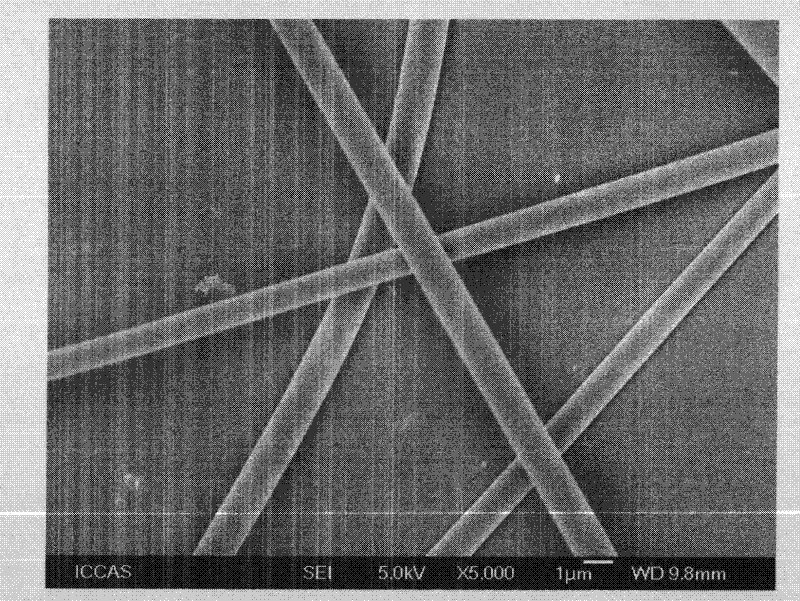 Cellulose base/Fe3O4 composite adsorption material used for removing arsenic in water and preparation method thereof