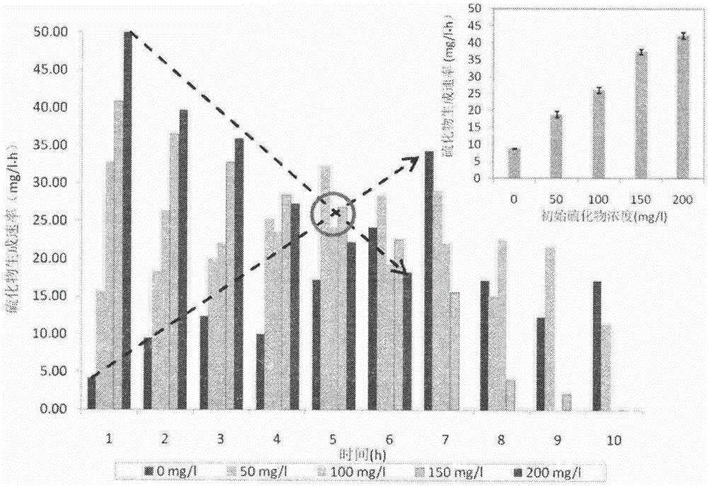 Method for improving bio-availability of sulfur by means of converting sulfur into polysulfide