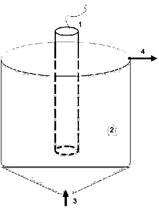 Method for using tea extract as underwater organophosphorus pesticide chlorpyrifos treatment agent