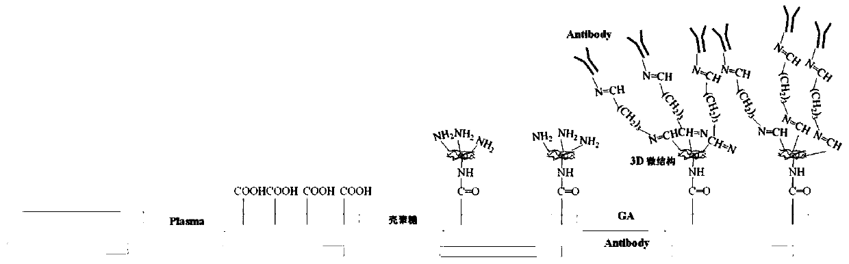 High-efficiency antibody fixing method of biological chip