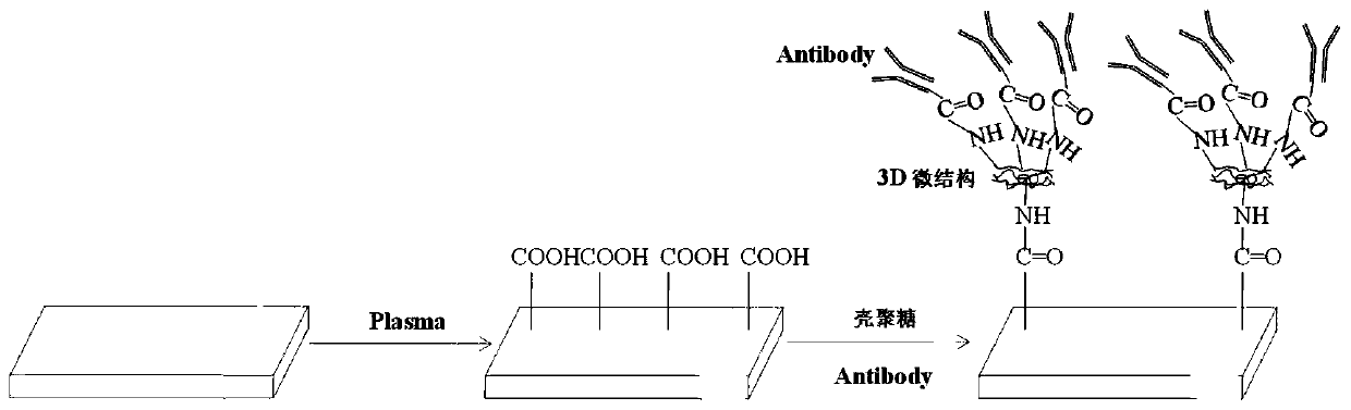 High-efficiency antibody fixing method of biological chip