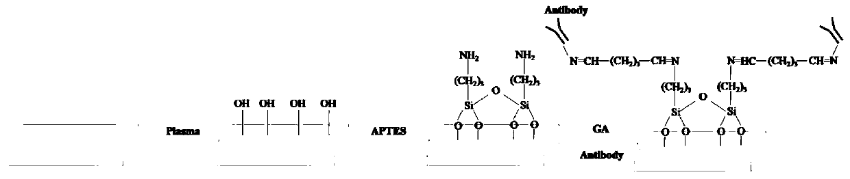 High-efficiency antibody fixing method of biological chip