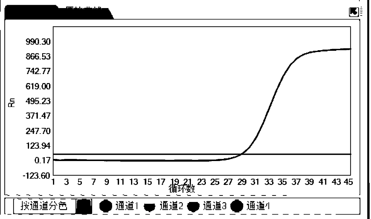 Composition, kit and method for detecting and typing viruses causing respiratory tract infection and application of composition, kit and method