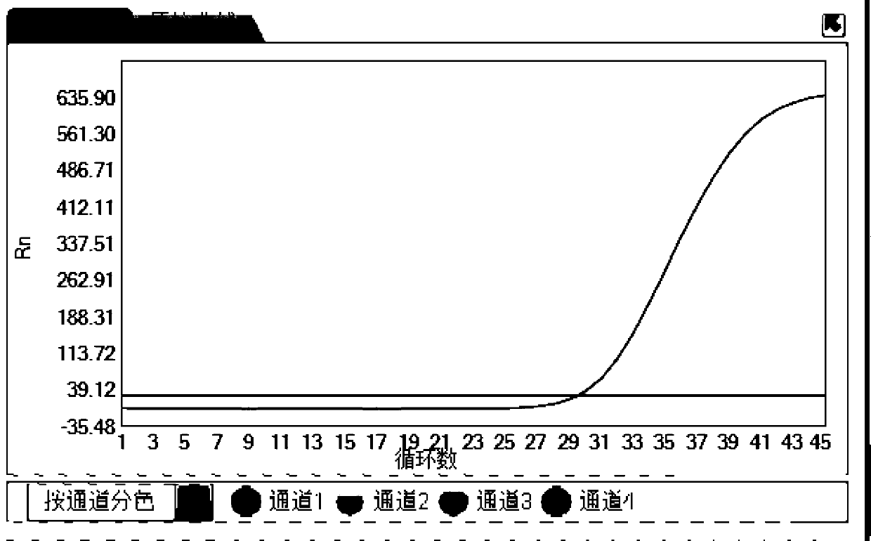 Composition, kit and method for detecting and typing viruses causing respiratory tract infection and application of composition, kit and method