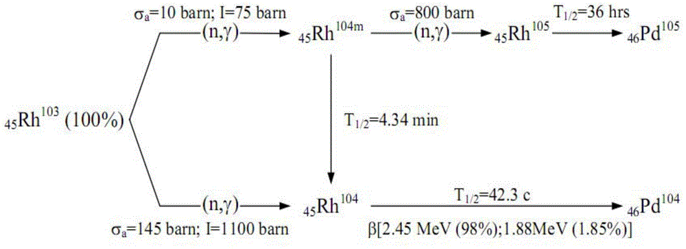 Delay eliminating method for signal of self-powered rhodium detector based on Luenberger-form H-infinity filtering