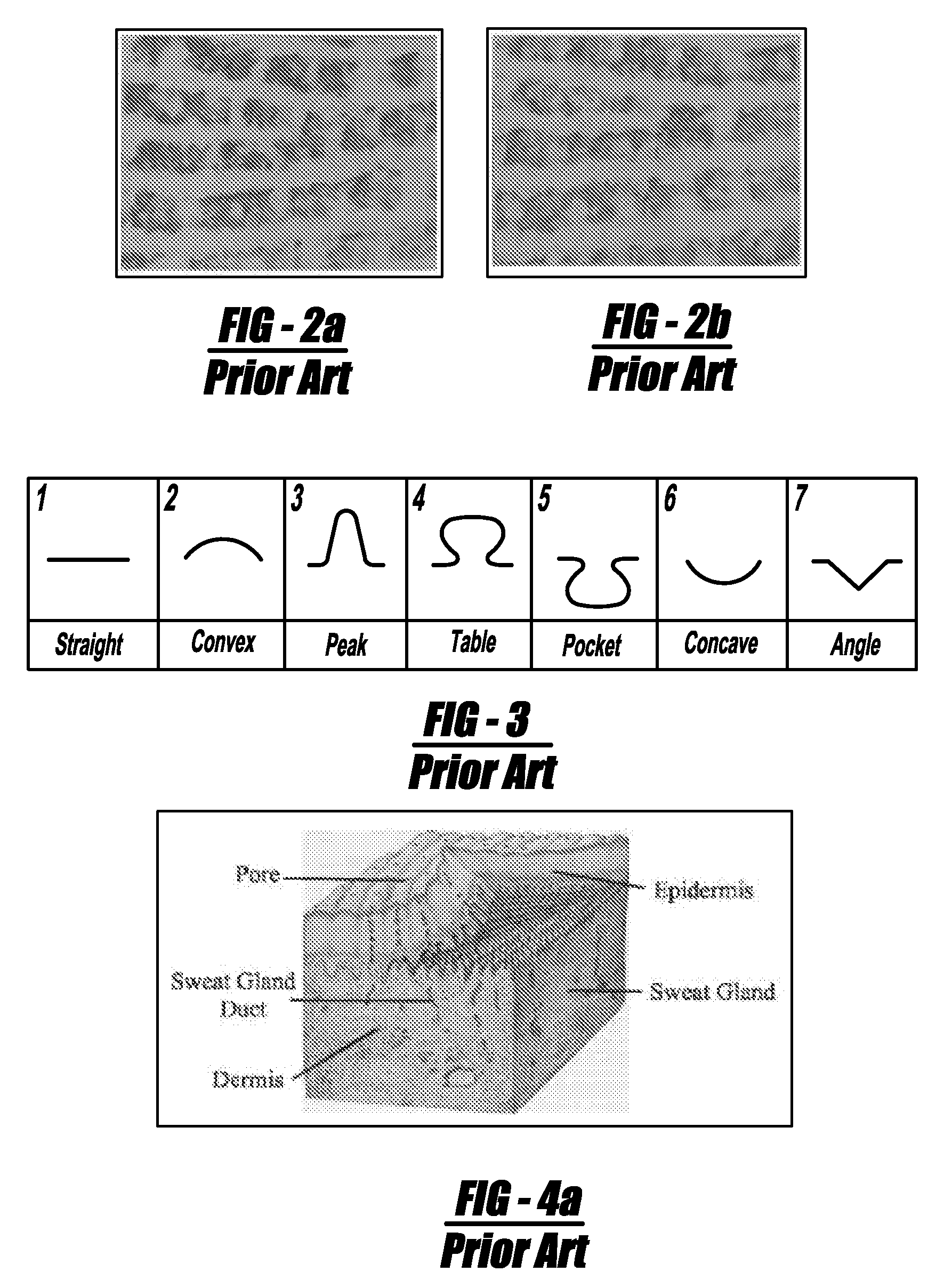 Level 3 features for fingerprint matching