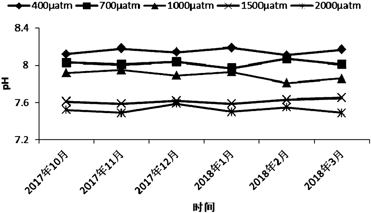 System and research method for long-term acidification adaptability research of large marine algae