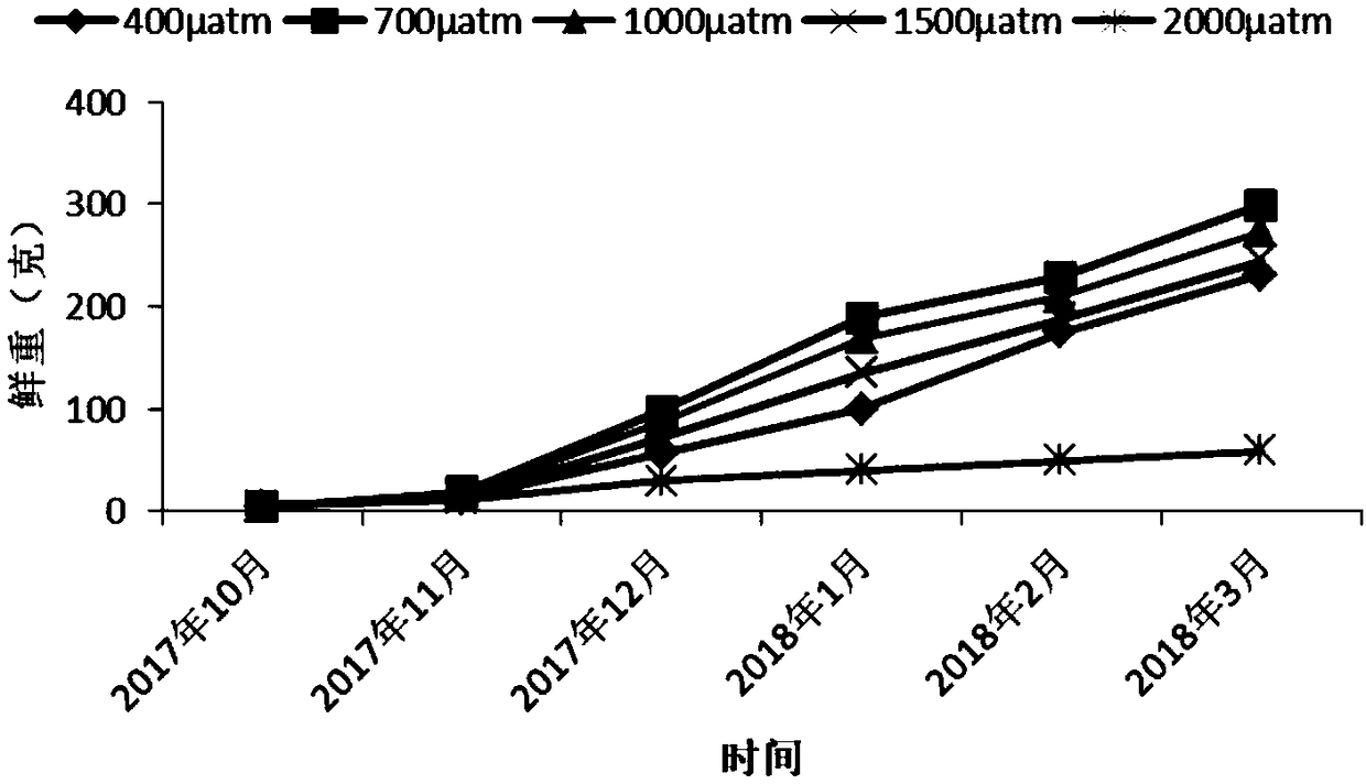 System and research method for long-term acidification adaptability research of large marine algae