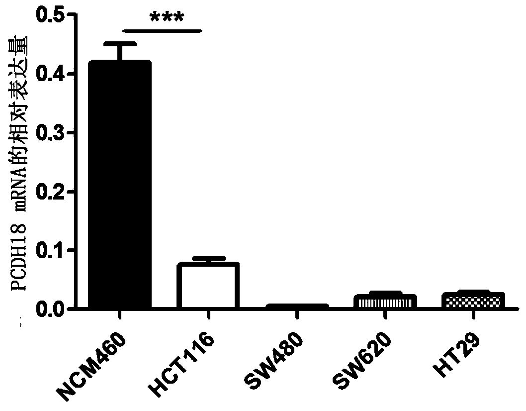 Application of pcdh18 gene in preparation of colorectal cancer diagnostic kit and kit