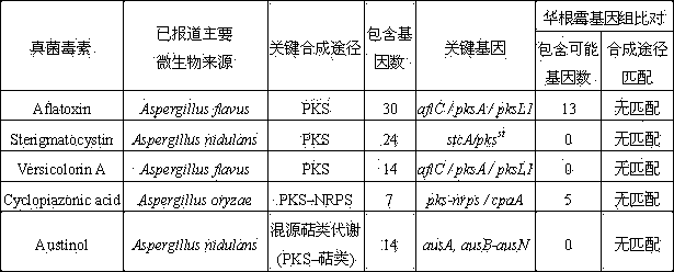 Safety evaluation method for analyzing fungus strain producing no mycotoxin based on whole genome sequence