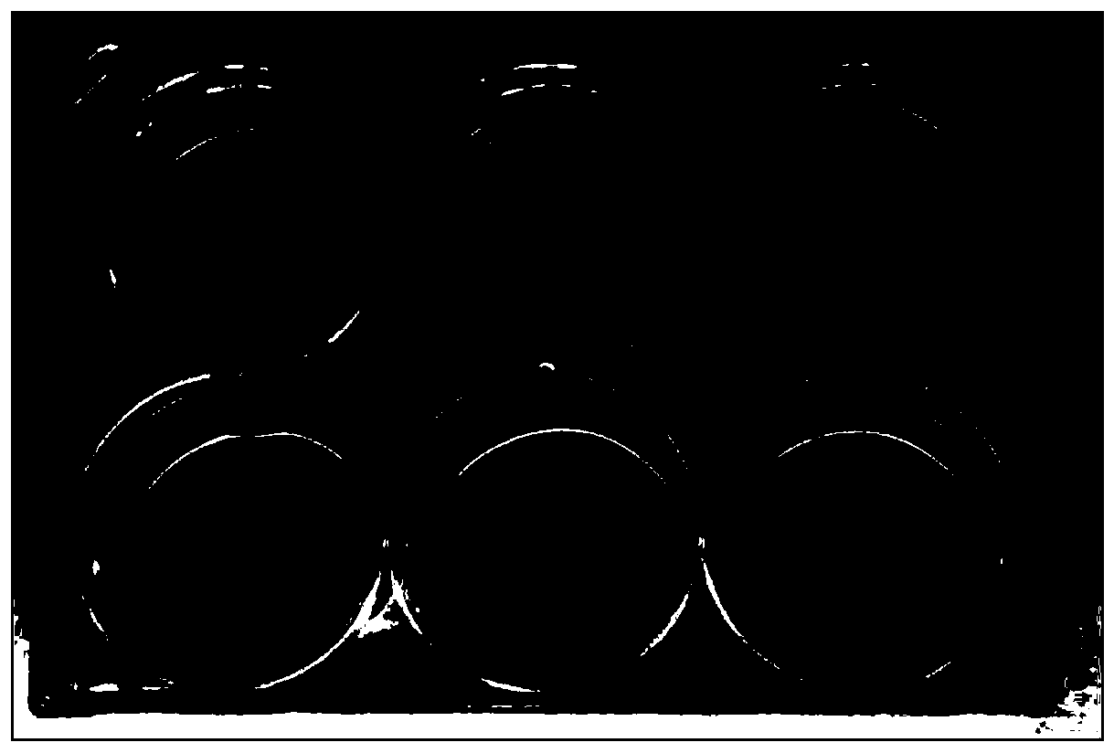 Preparation method of lung hardness base in vitro cell culture platform