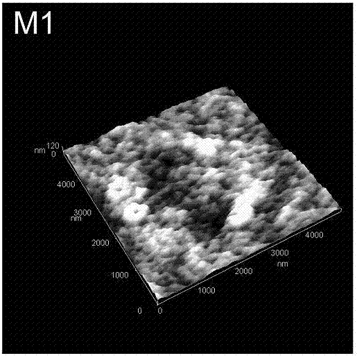 Preparation method for hydrophilic polyacrylonitrile separation film