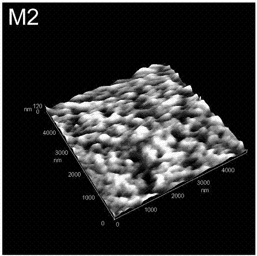 Preparation method for hydrophilic polyacrylonitrile separation film