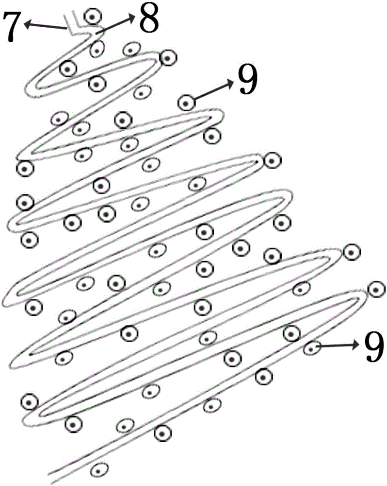 Blood capillary network and making method thereof