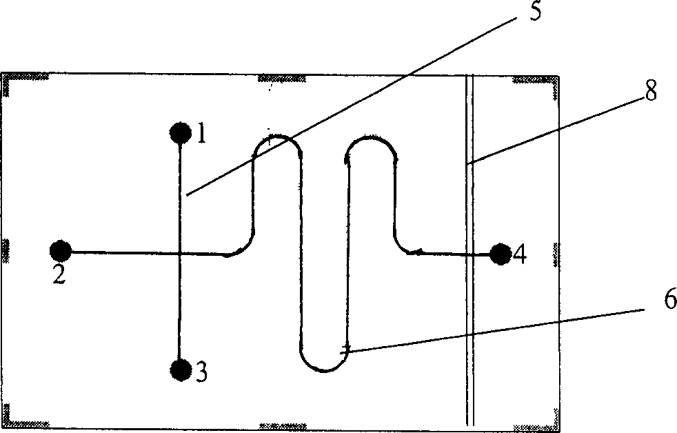 Capillary electrophoresis chip integrated with electrochemical detection electrode made by hot pressing method