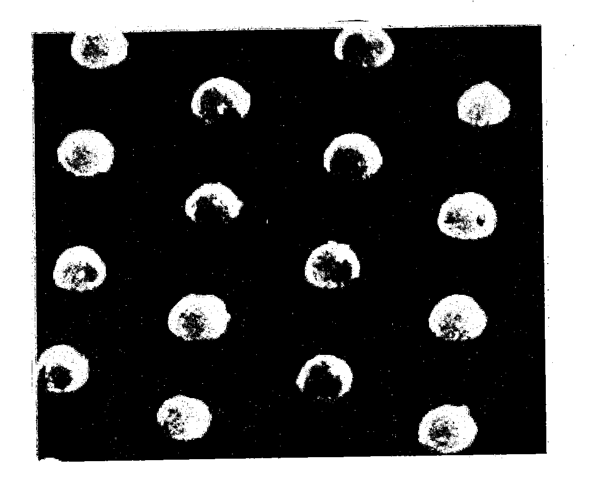 Fixed-array anisotropic conductive film using surface modified conductive particles