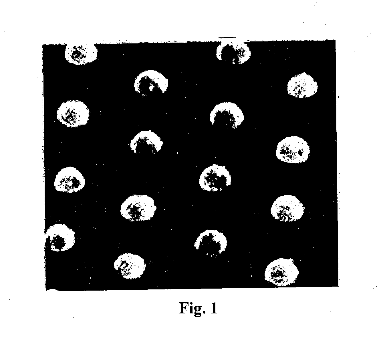 Fixed-array anisotropic conductive film using surface modified conductive particles