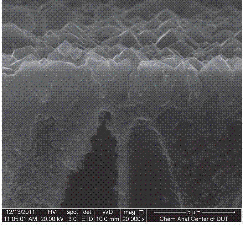 Method for preparing metal organic framework film