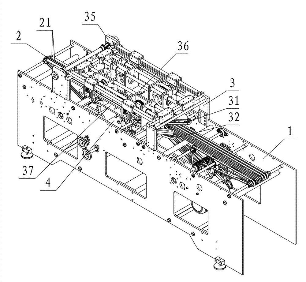 Device for cutting fish belly in arraying manner