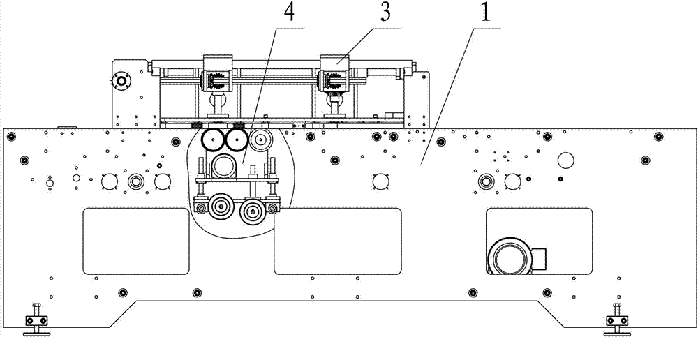 Device for cutting fish belly in arraying manner