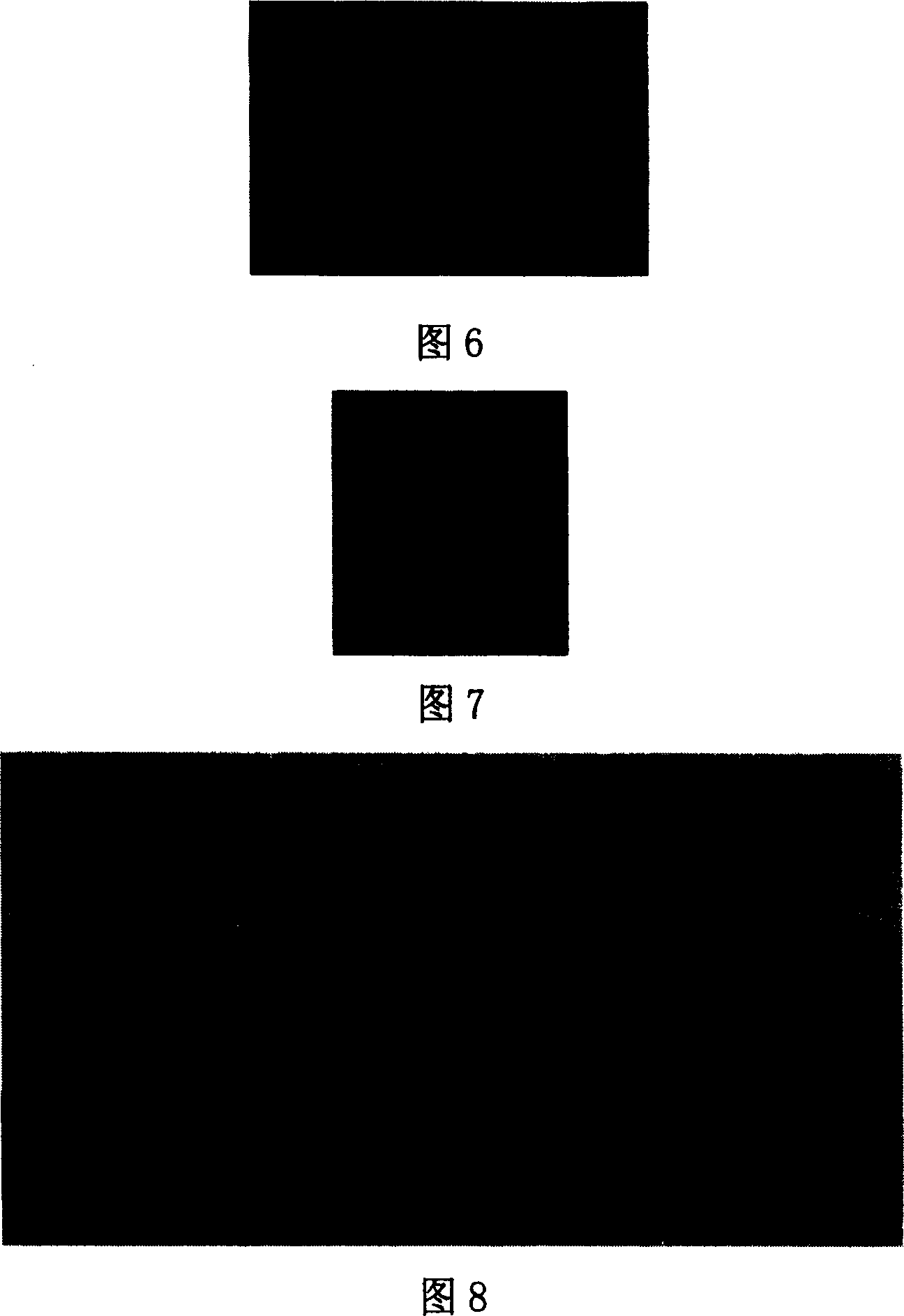 Method of whole manual culture for chinese caterpillar fungus