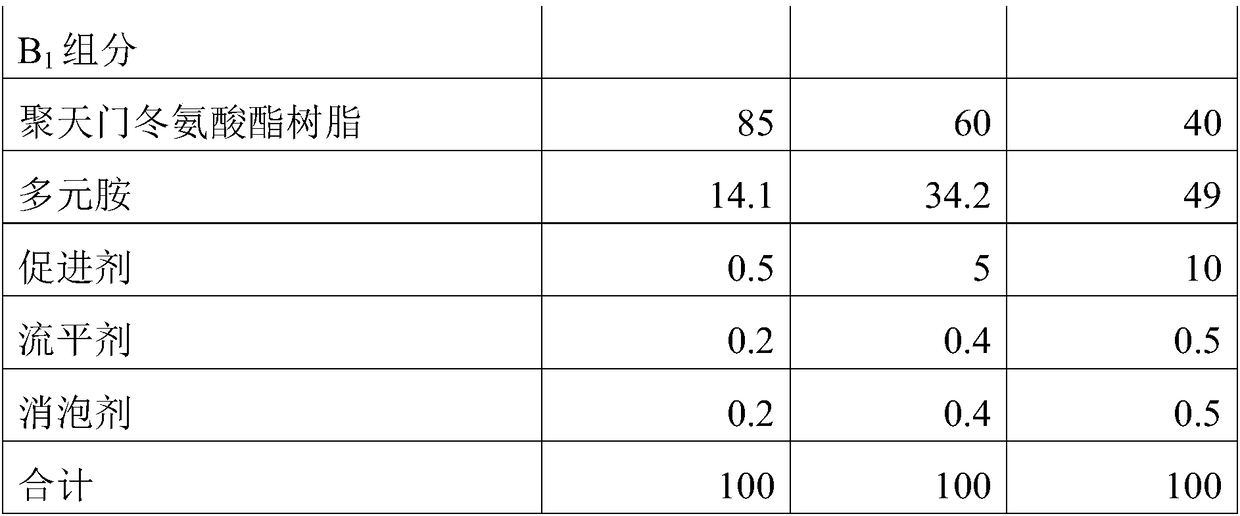 Concrete coating protecting system and construction method