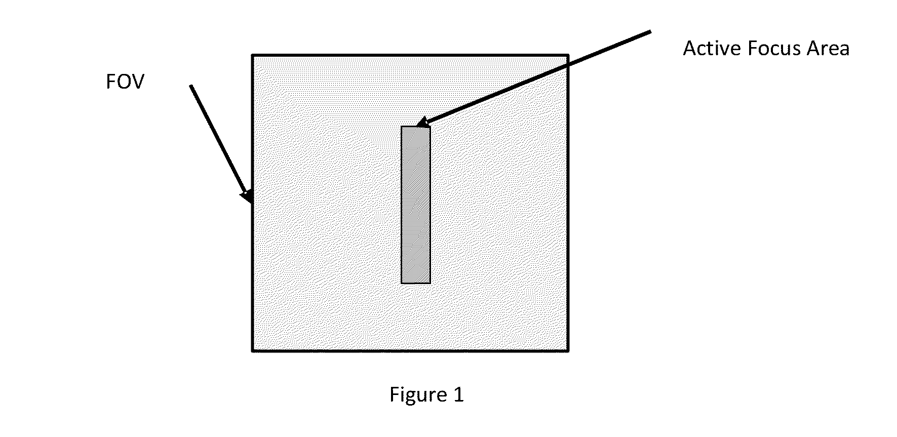 Automatic Focus and Sample Detection