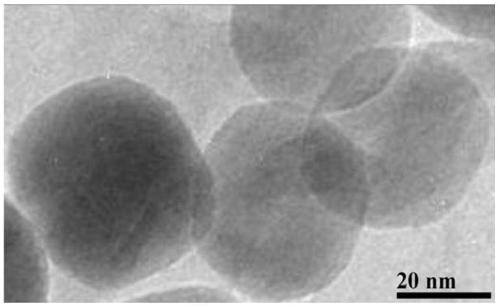 Preparation method of strontium titanate nano material with adjustable morphology