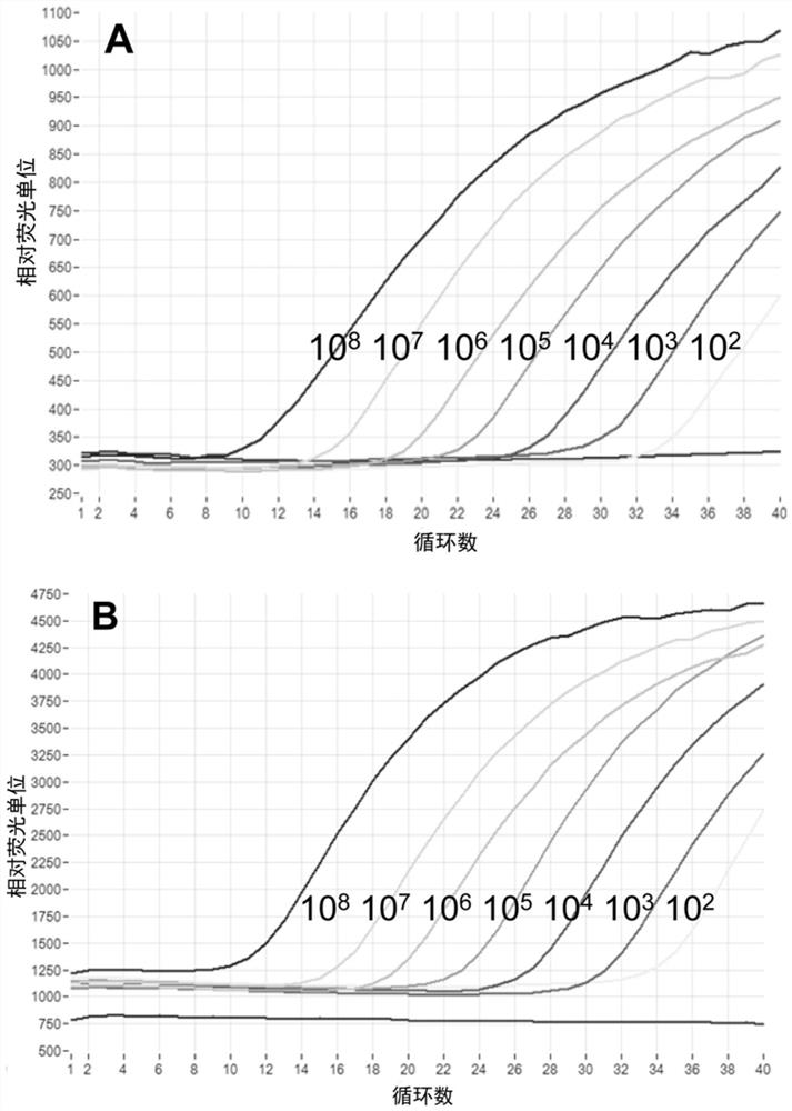 Primer group and probe group capable of simultaneously detecting BK virus and JC virus, and purpose