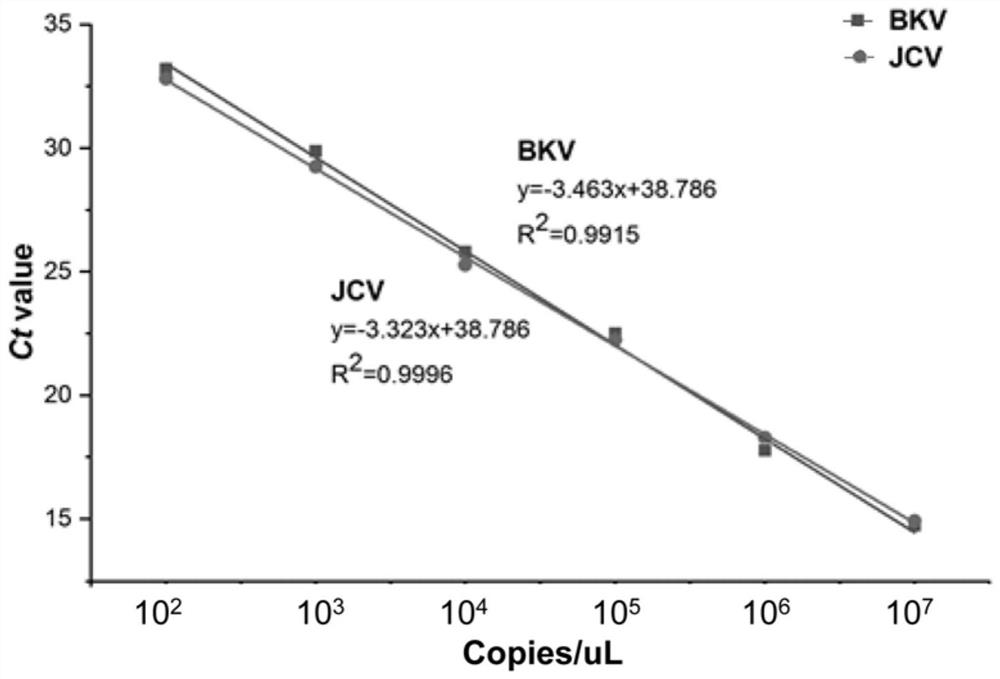 Primer group and probe group capable of simultaneously detecting BK virus and JC virus, and purpose